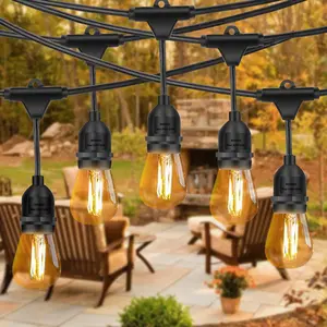 YI LIGHTING 48FT Outdoor String Lights With 15 S14 LED Bulbs Commercial Grade Weatherproof for Patio Garden Porch Backyard Party Lights