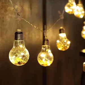 HOLIDAY DECORATION GLOBE BULB STRING FAIRY LIGHTS - BATTERY POWERED