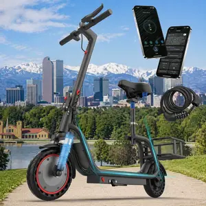 350W Folding Electric Bike for Adults, Maximum Speed 19MPH,Range 16/28 Miles, LED Lights,UL 2272 Certified