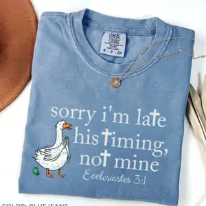 Sorry I'm Late Bible Verse Shirt, Comfort Colors Christianity Tee, Ecclesiastes 3:1 Church Shirt, Minimalist Silly Goose T-Shirt, Christian Humor Tee
