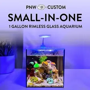 Small-In-One | 1 Gallon Desktop Aquarium