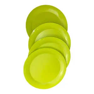 Flat Plates - Set of 4 for Everyday Use Different colors