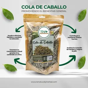 Horsetail Herb – Premium Dried Herb (4oz) | Herbal Tea & Wellness