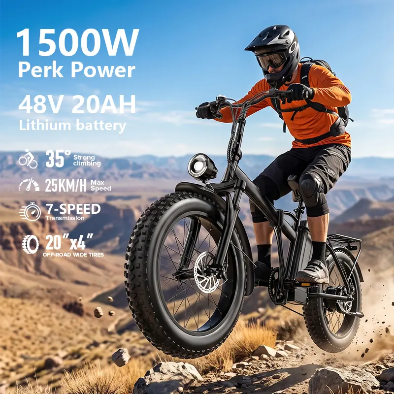 20-Inch Foldable Fat Tire Ebike - 1500W Peak Power, 48V Removable Battery, Dual Seats, LED Headlight, High-Carbon Steel Structure, Dual Suspension Ebike for Sports Cycling, Outdoor Recreation (Wide Tire Bikes, Sporty Bikes), Fat-Tire Bikes sohochic