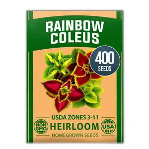 Coleus Rainbow Seeds – 400 Count 0.04 oz Flower Seed, Coleus scutellarioides 'Rainbow', Indoor Plant Seeds for Containers, Shade Gardens, Decorative Multicolor Foliage