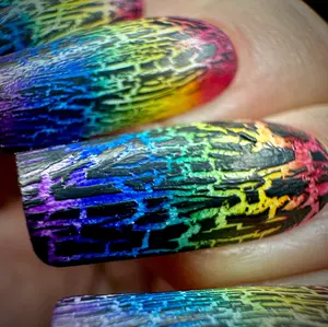 Shattered Dreams Crackle Nail Polish by Drunk Fairy Polish | Quick Dry 10-Free Black Crackle Polish