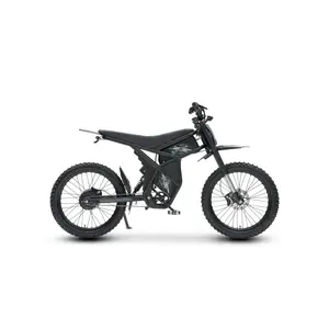 Riding Times GT73 Electric Bike