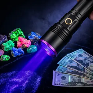 20W 365nm Professional UV Flashlight with Black Filter Lens - Powerful UV Light for Amber Inspection, Currency Detection, Antique Identification, and Stain Finding - Rechargeable Type-C USB Portable Handheld UV Lamp