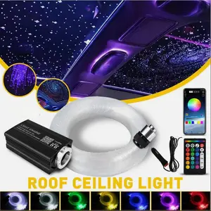 Multicolor Star Ceiling Kit 1000pcs Optical Fibers 15 Static Colors RGB Mix Remote APP Control for Bedroom Car Interior Starlight Roof Led Backlights