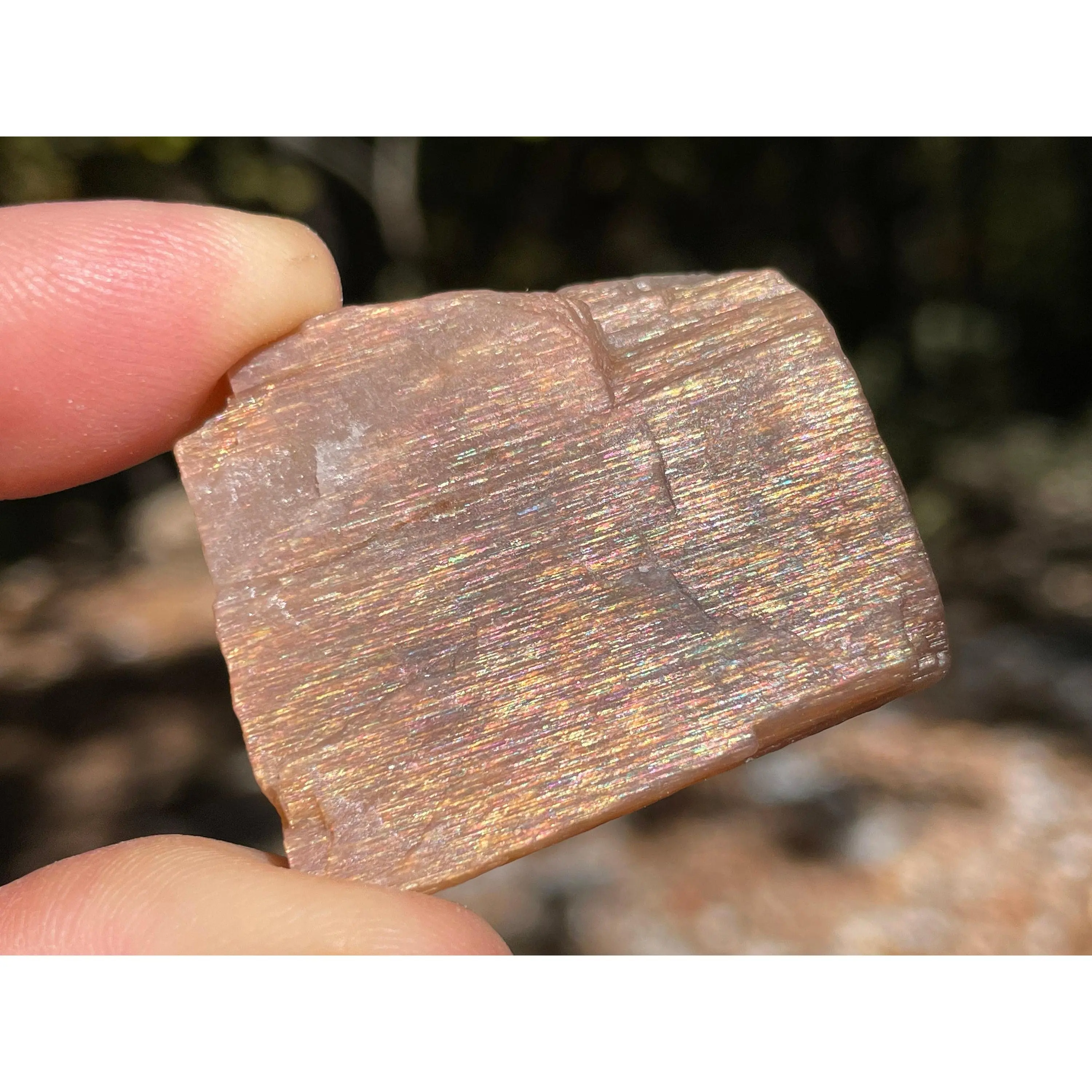 Raw Rainbow Sunstone || Choose Your Size