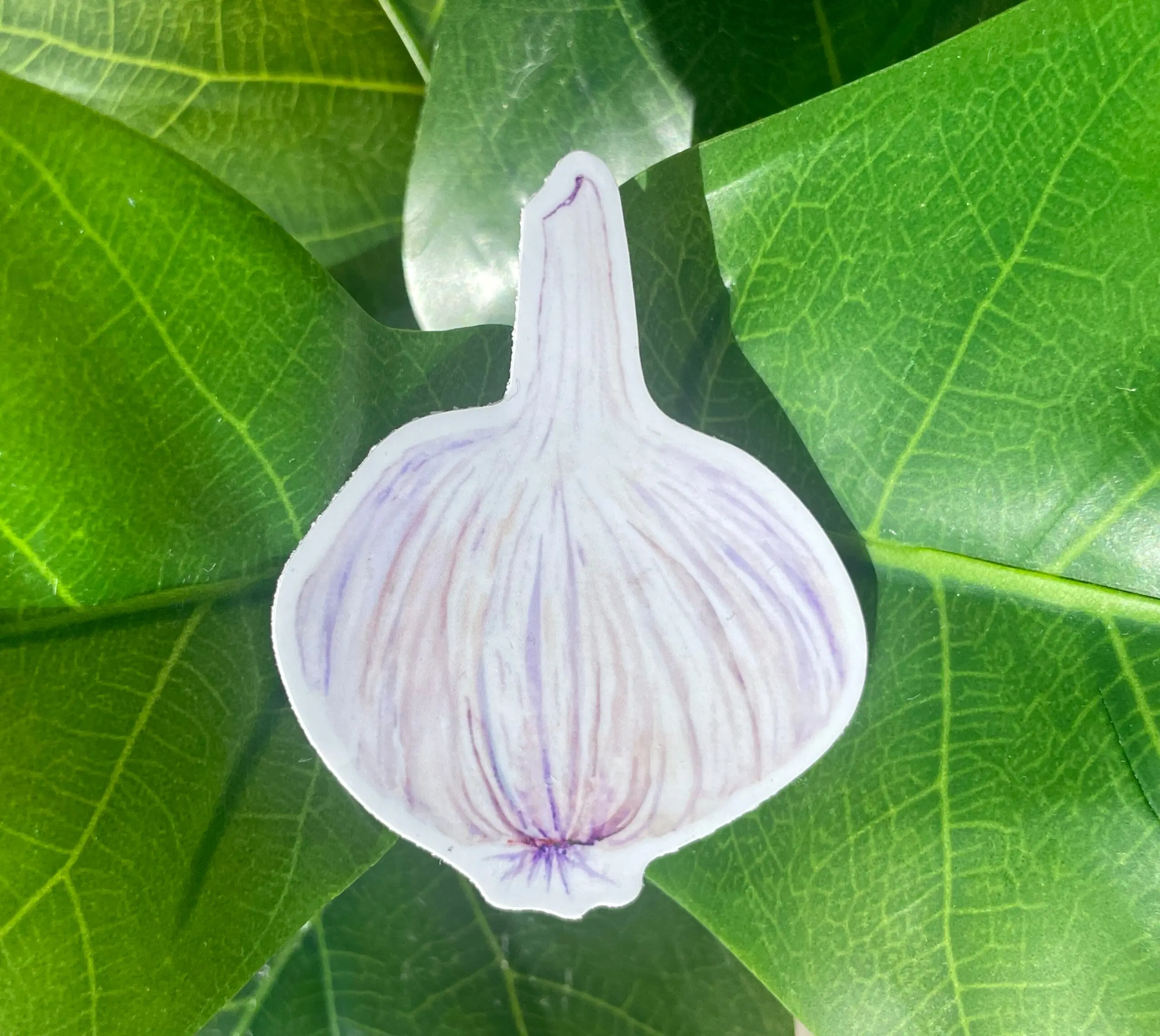 Garlic Sticker