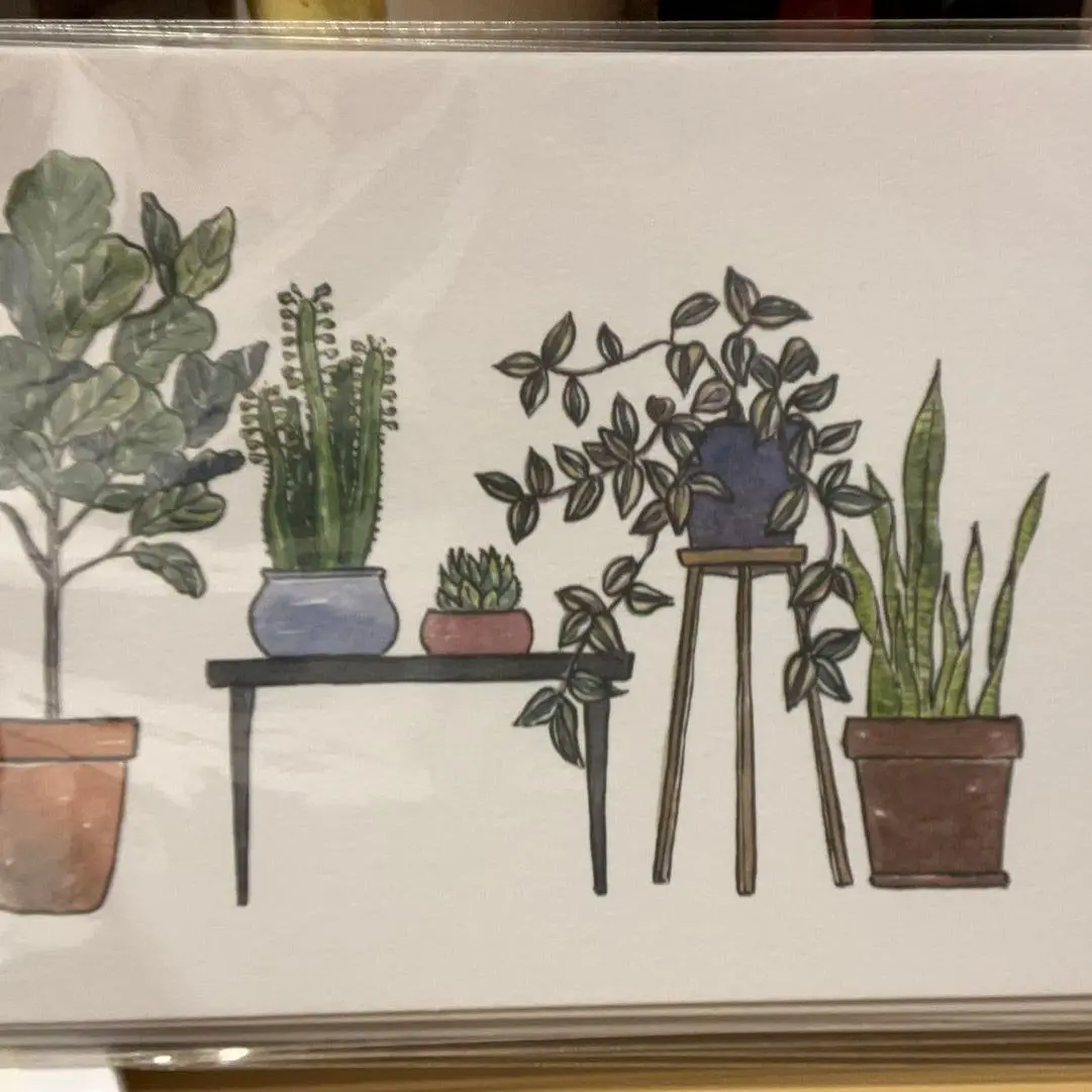 Houseplants Blank Postcard