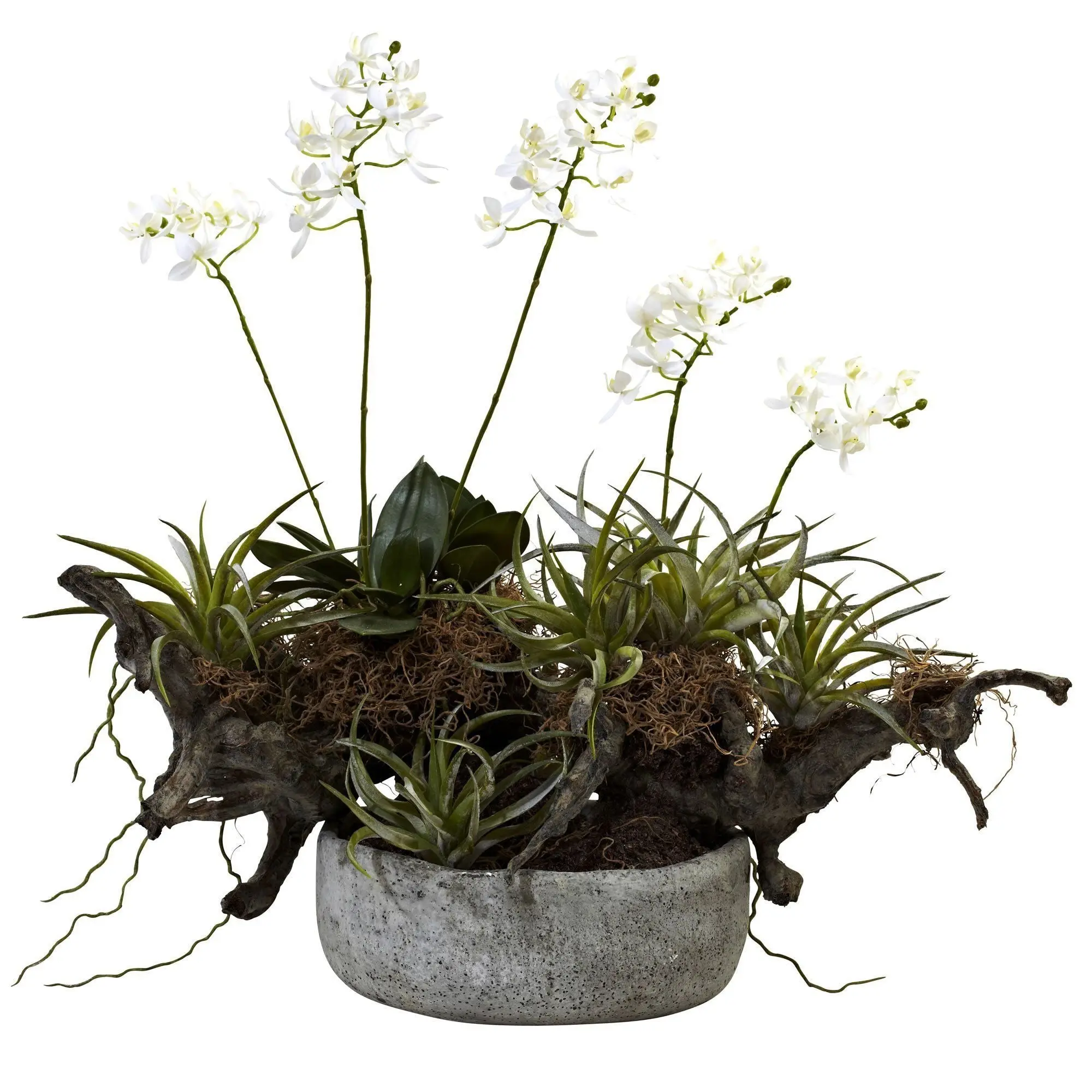 Driftwood Nature Theme Garden Planter - Indoor Decorative Flower Pot for Orchids, Succulents, Container Gardening & Home Indoor Garden Vibe