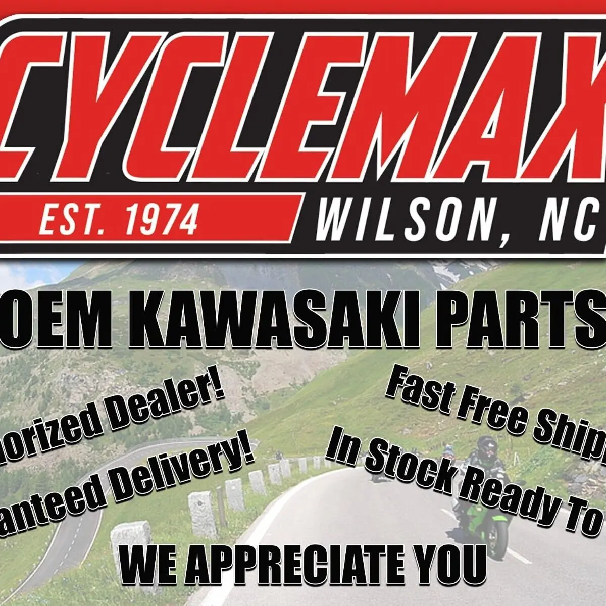 Kawasaki Genuine OEM Authentic Fuel Filter 49019-0031