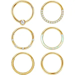 CASSIECA Unisex 6Pcs Geometric Hinged Nose Hoops Body Jewelry Set - 16G-18G Surgical Steel Body-Safe Piercing Jewelry for Nose Septum, Lip Rings, Helix Piercings