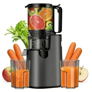 LQZ 350W Cold Press Juicer - Slow Masticating, 4.3&5.4 Inch Feed Chute, High Juice Yield, Easy Clean, 55rpm Technology for Whole Fruits & Veggies