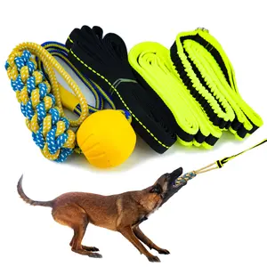 Tree Rope Toy for Dogs - Bungee Tug Toy for Small to Large Breeds - Outside Entertainment and Exercise Hanging Dog Toys Tug of War with Chew Rope and Ball Set (Reflective)