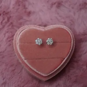 Darling Diamond Mossanite Studs