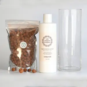 Grow in LECA Starter Bundle – Easy Hydroponic Kit for Houseplants