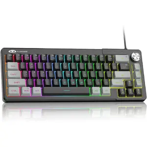 Gaming keyboard, RGB backlit 68-key ultra-compact keyboard, TS68 ergonomic waterproof mechanical feel office computer keyboard, suitable for PC, MAC, PS4, Xbox ONE gamers