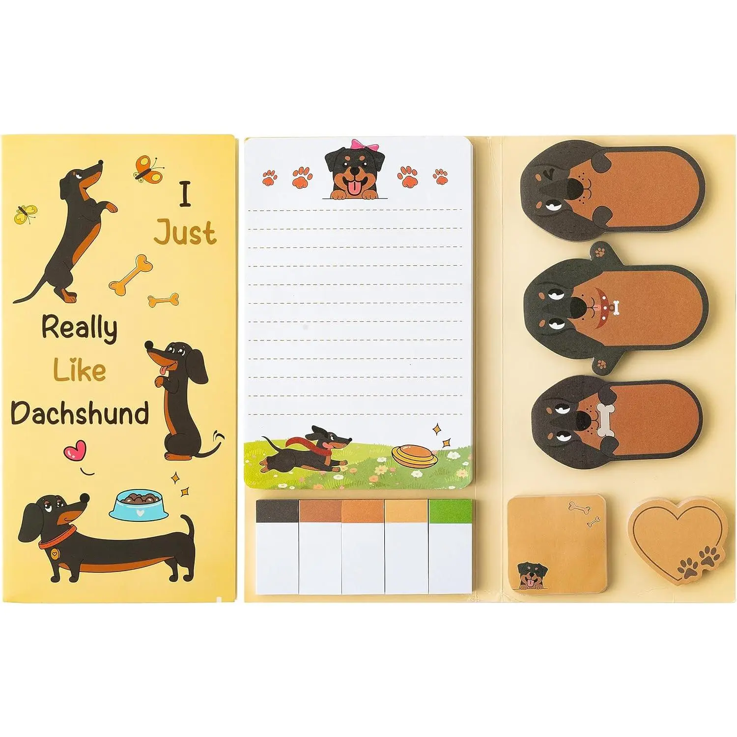 Dachshund