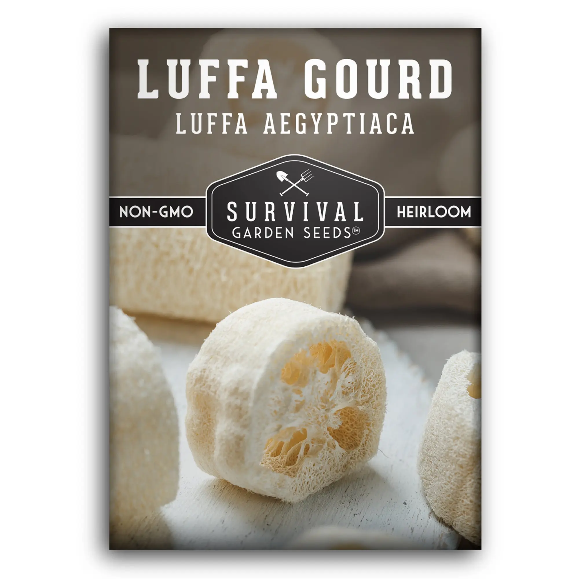Loofah Gourd Seeds – Luffa Plant for Natural Sponges, Heirloom Non-GMO Vegetable Seeds for Home Garden