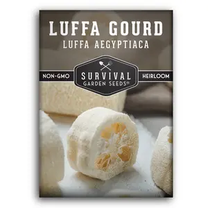 Loofah Gourd Seeds – Luffa Plant for Natural Sponges, Heirloom Non-GMO Vegetable Seeds for Home Garden