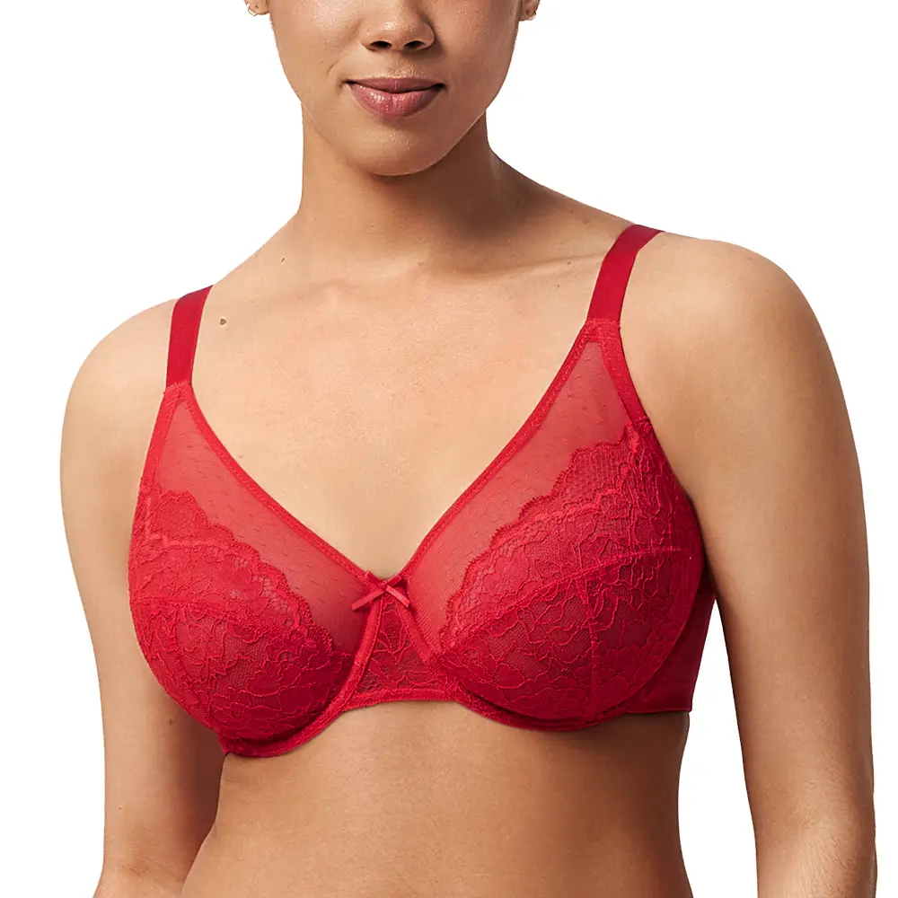 HSIA Crimson Passion Holiday Colors Floral Lace Underwire PLus Size Full Coverage Bra