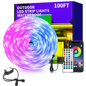 LED Light Strip RGB Color Changing Music Sync IP68 Waterproof App & Remote Control for Bedroom Indoor Outdoor Lighting 100FT Modern Room party Decor holiday