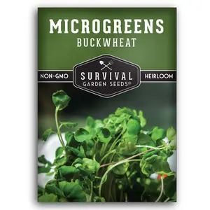 Buckwheat Microgreens Seeds - Non-GMO, Heirloom, Survival Garden Seeds