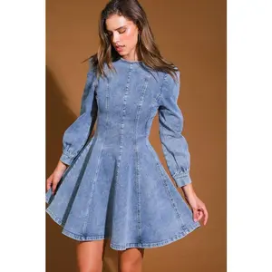 Denim Skater Mini Dress Medium
