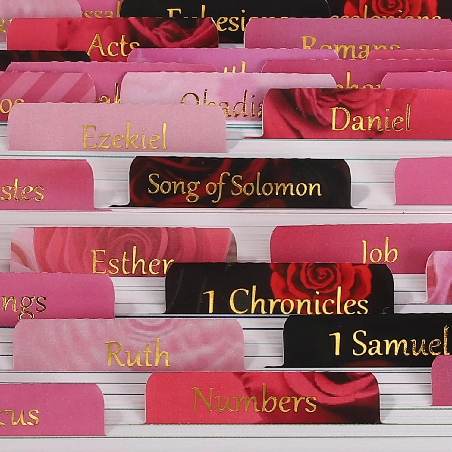 Laminated &   Tabs,  Foil Pink Rose, Large Print Christian  for Women, Easy to Read and Apply  Journaling Tabs ( Pink Rose)