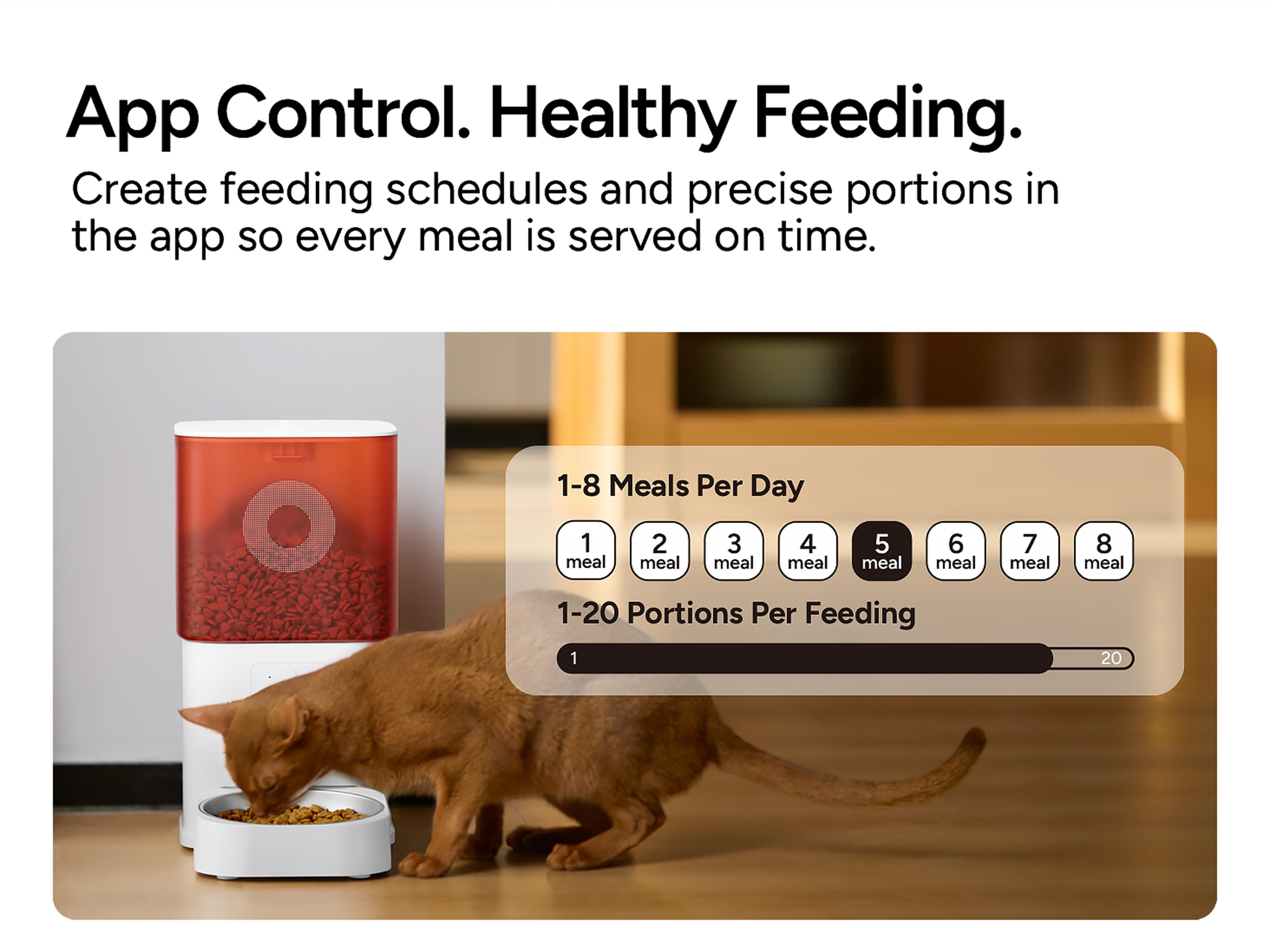 Automatic Cat Feeder with Camera: 6L Automatic Dog Feeder with 2-Way Audio Night Vision Dual Power Supply App Control 2.4G WiFi, Timed Auto Cat Food Dispenser with Stainless Steel Bowl(White）