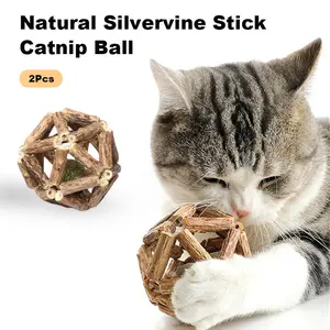 2PCS Natural Silvervine Catnip Balls & Bell Ball – Hollow Matatabi Dental Chew Toys with Catnip Core for Indoor Cats & Kittens, Teeth Cleaning, Stress Relief & Enrichment