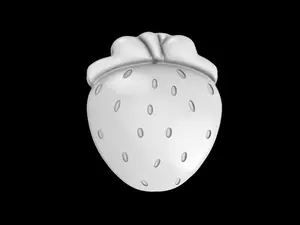 Strawberry Mold Style 2