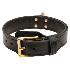 FDT - 2 Ply Leather Agitation Dog Collar