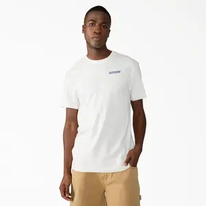 Dickies Americana Logo Fill Graphic T-Shirt, Regular Fit Graphic Print, Workwear Everyday Style Streetwear Knit