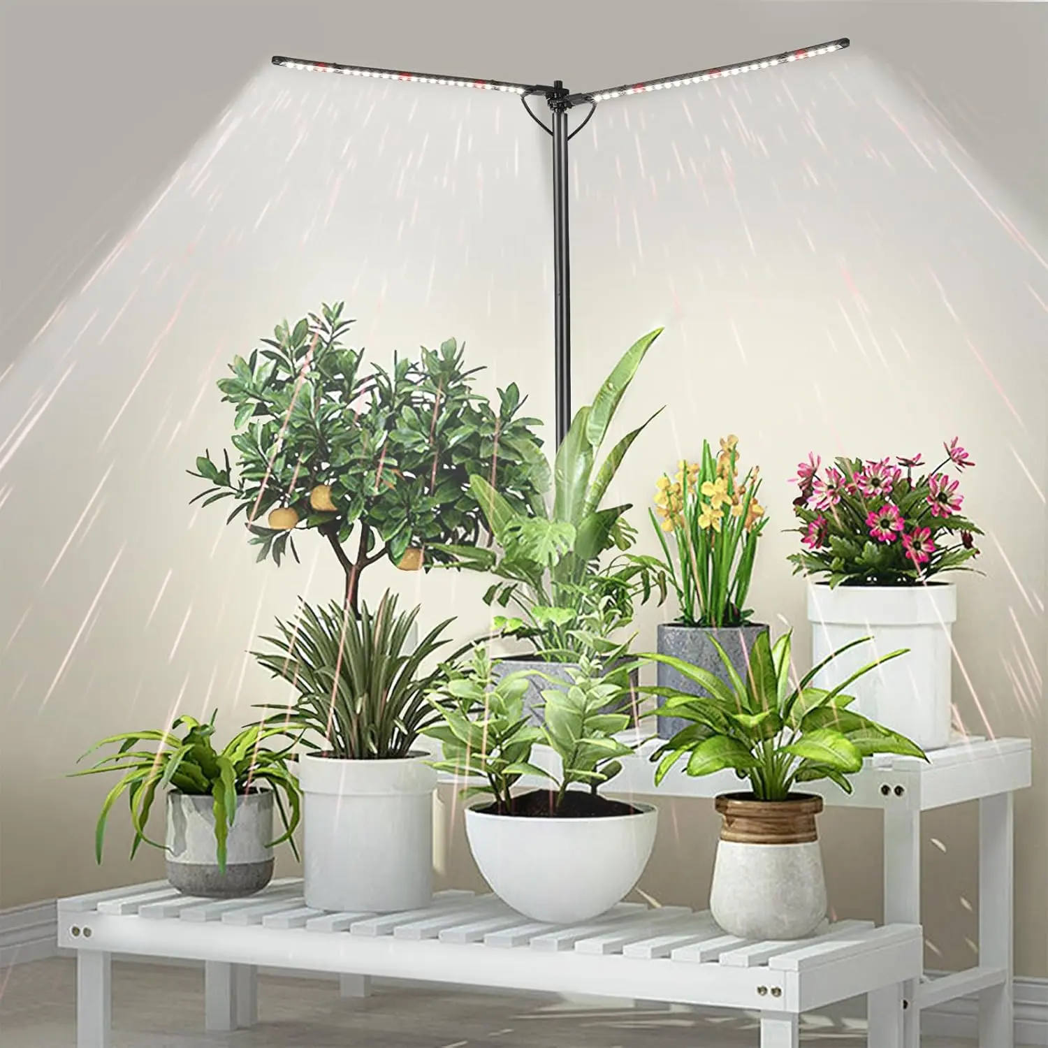 Grow Lights for Indoor  Full  with 3/6/9H Timer & Dimming, Slim  Lights for Indoor Growing with 6000K White Red LEDs for Various