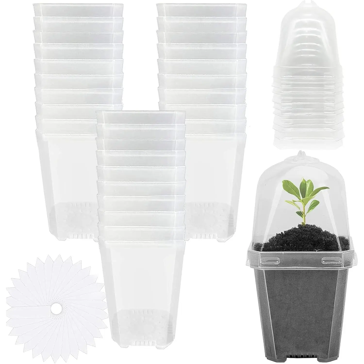 30 count Clear   Pots with Humidity Dome - 3" Durable Plastic Gardening Pot with Labels, Small  Container for Seedlings/Vegetables//Cuttings