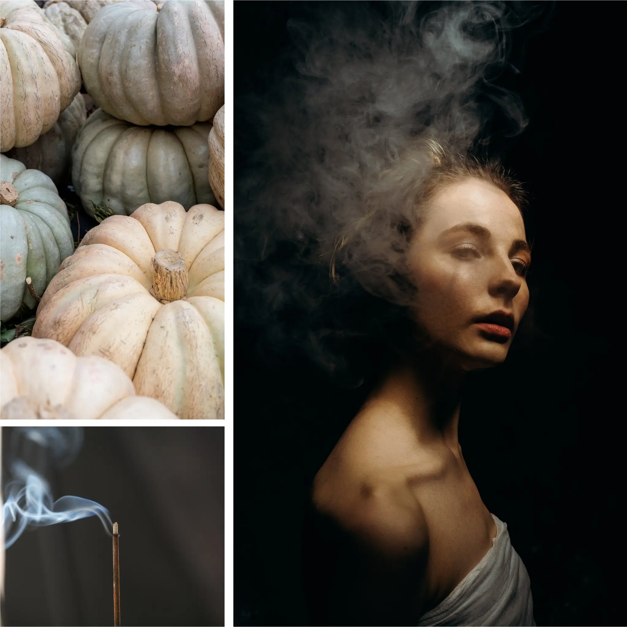 Spiced Pumpkin + Incense  Fragrance Oil