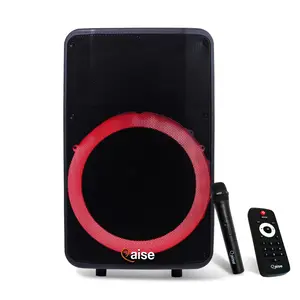 QAISE 5500W 15 inch Rechargeable bluetooth Party speaker with wireless Mic for karaoke Audio Amplifier
