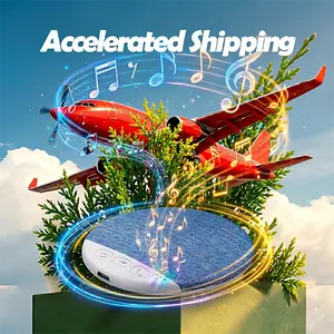 Pillow Speaker Collect & Add to Cart, Enjoy Priority Packing and Shipping Service