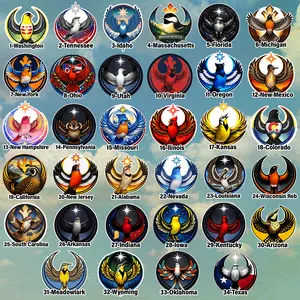 [Ver 2] USA State Anti ICE Activist Die-cut Stickers, Resistance Symbol Community Solidarity, State in US Political Sticker