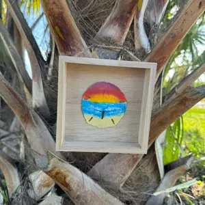 Hand painted sand dollar in shadow box