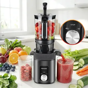 Slow Masticating Juicer 200W, Cold Press Juicer with 112mm Large Feed Chute, 60 RPM, Reverse Function, Easy-to-Clean Stainless Steel Juicer Extractor