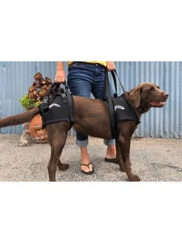 Airlift One Front and Rear Combination Harnesses
