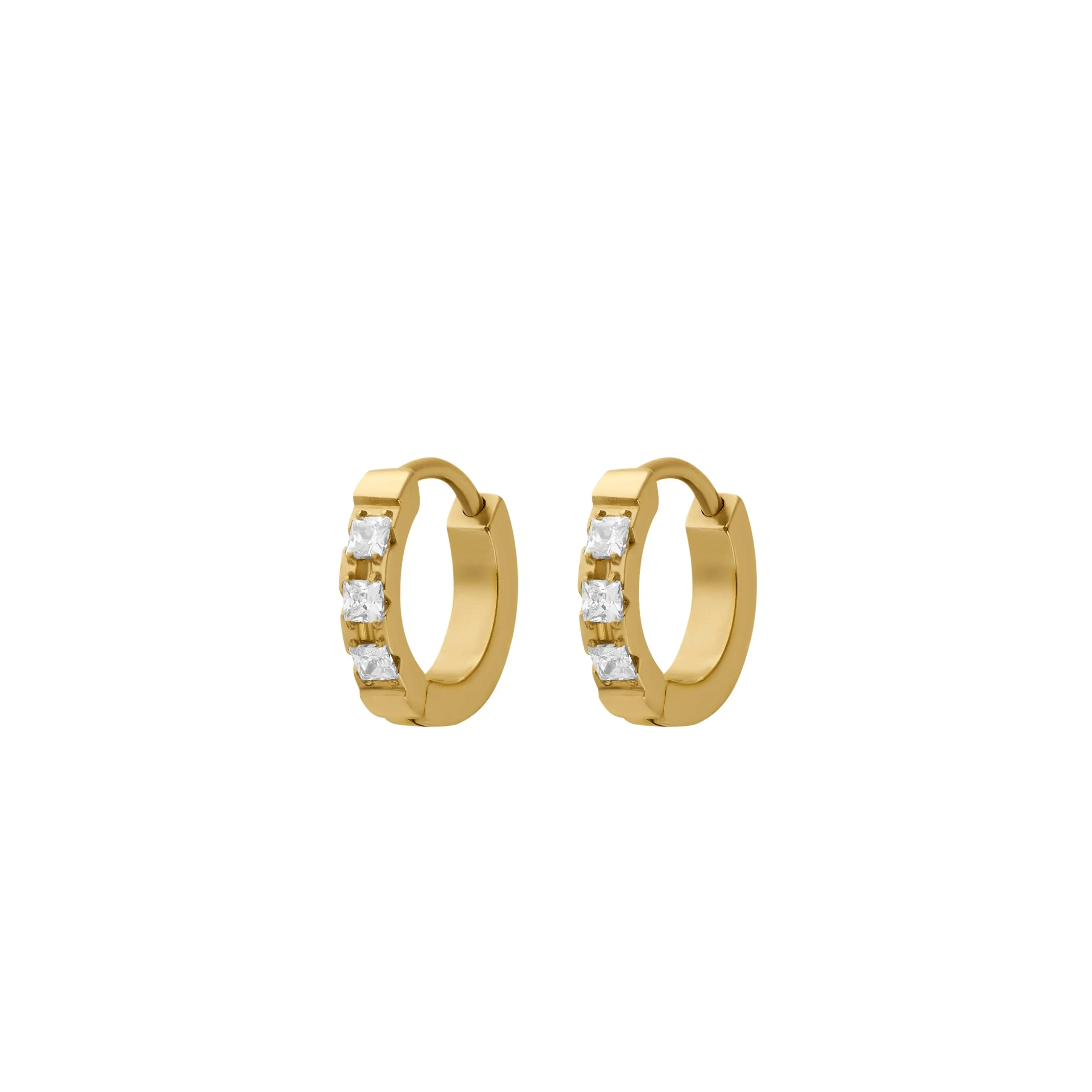 Apricity Titanium Hoops