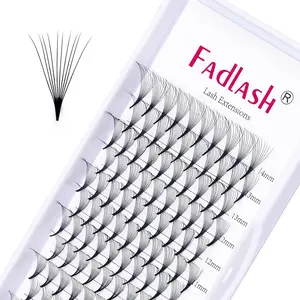 Lash Extension 10D 0.07 Premade Fans Eyelash Extensions D Curl Mix Tray Volume Short Stem (10D-0.07-D, 8-14mm Mix)