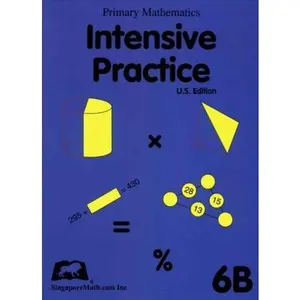 USED Book - Primary Mathematics Intensive Practice U.S. Edition 6B by Unknown (Paperback) - english