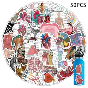 50 Vintage Human Anatomy Stickers, Body Bone Stickers, Water Bottle Scrapbook Diary Decorative Stickers, Aesthetic Anatomy Stickers, Decal Sticker
